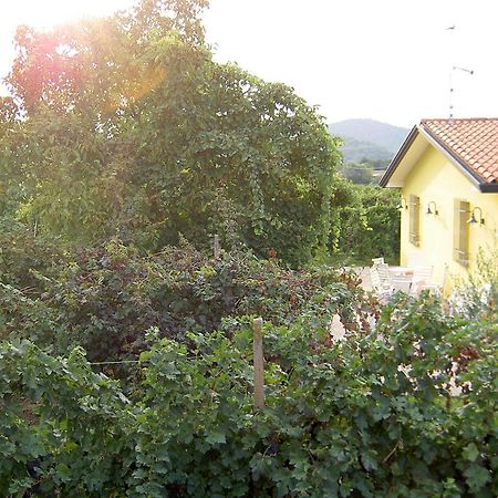 Agriturismo Monteortone أبانو تيرمي المظهر الخارجي الصورة