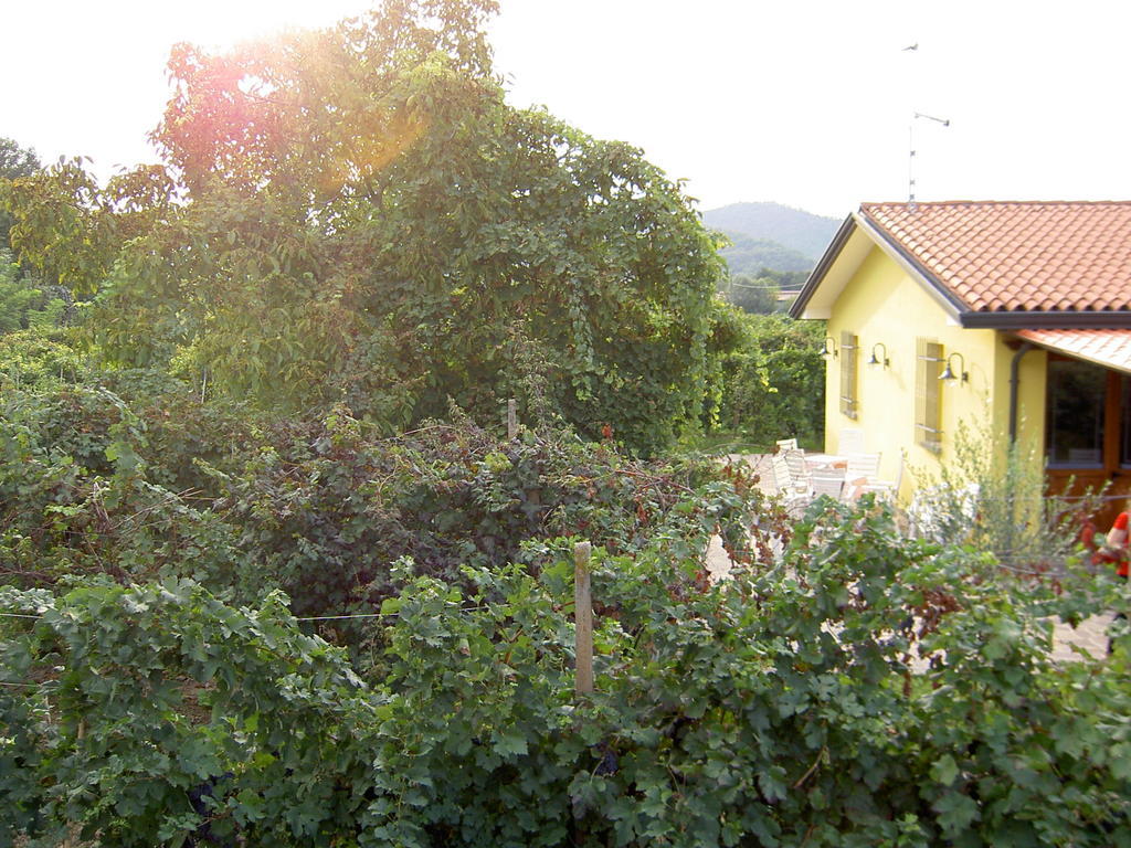 Agriturismo Monteortone أبانو تيرمي المظهر الخارجي الصورة